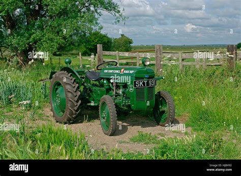 1954 Ferguson Tea Vintage Tractor Stock Photo Alamy