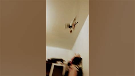#funnyvideo #монвер - YouTube