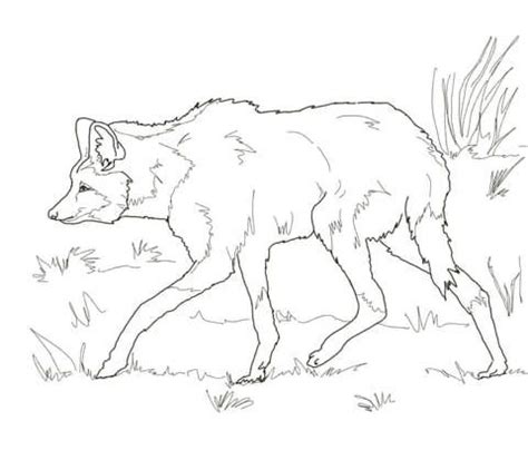 Aguar Guaz O Lobo De Crin Dibujo Para Colorear Free Printable