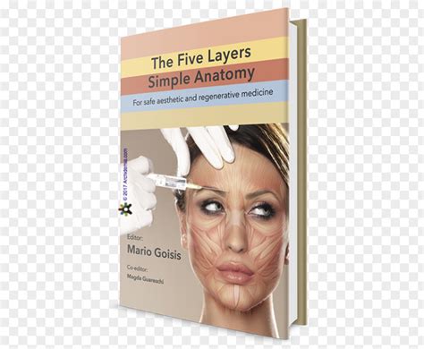 Face Anatomy The Five Layers Simple Anatomy For Safe Aesthetic And