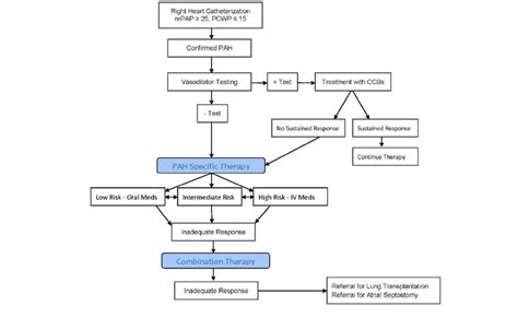 Treatment Algorithm For Pulmonary Arterial Hypertension Patients Download Scientific Diagram