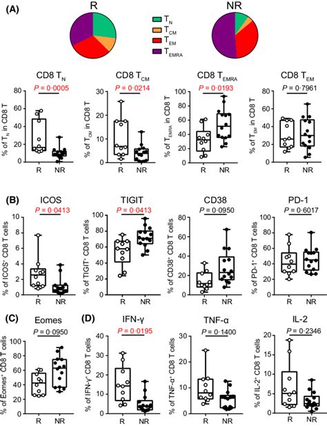 High Functional T Cell Status Associates With Good Clinical Response To