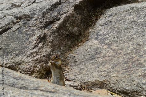 Climbing Seoraksan Mountain In The Taebaek Mountain Range In The