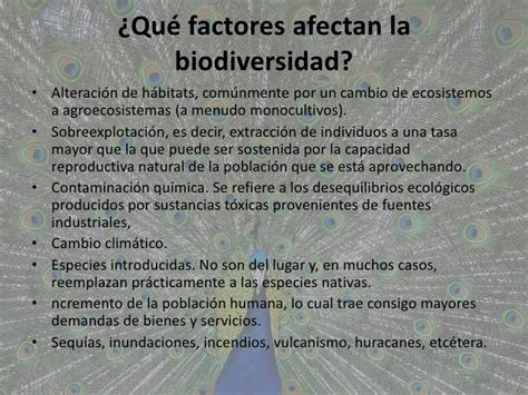 Biodiversidad En México