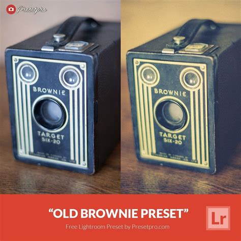 Free Lightroom Preset Vintage Dress - Download Now!