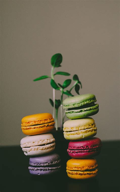 Macarons Plants Colorful HD Phone Wallpaper Pxfuel