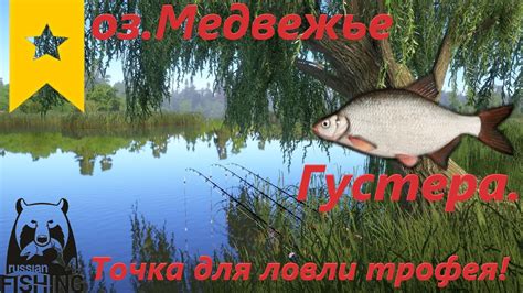 Русская Рыбалка 4 - Густера на оз.Медвежьем. Точка под поимку трофея ...