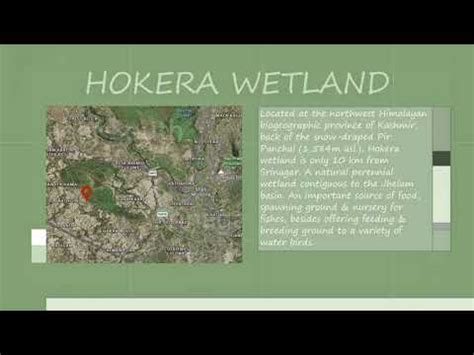 Hokera Wetland Wetlands Of India 3 UPSC CSE 2022 23 YouTube