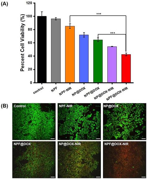 Cytotoxicity And In Vitro Combination Therapy A Viability Of Cal