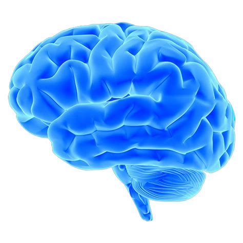 Free Training From Headway UK on Aquired Brain Injury - Headway NS