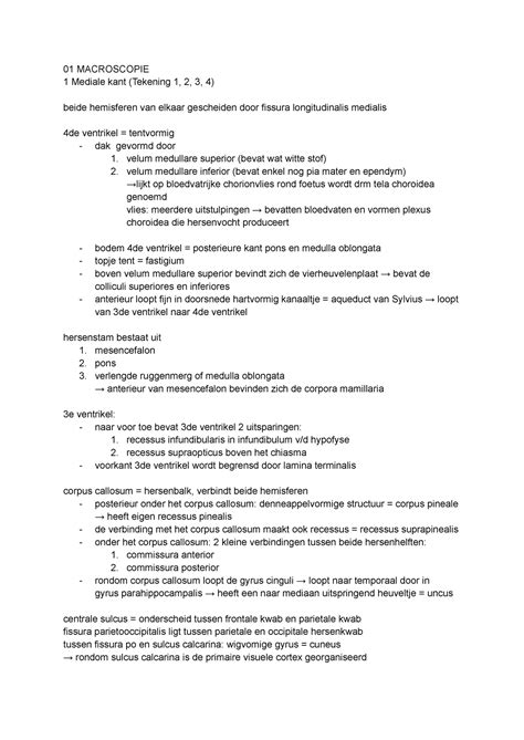 Neuroanatomie Samenvatting Zenuwstelsel En Zintuigen Macroscopie