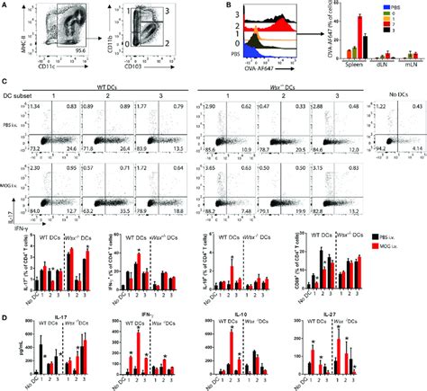 Specific Subsets Of Splenic Dendritic Cells Dcs From Intravenously