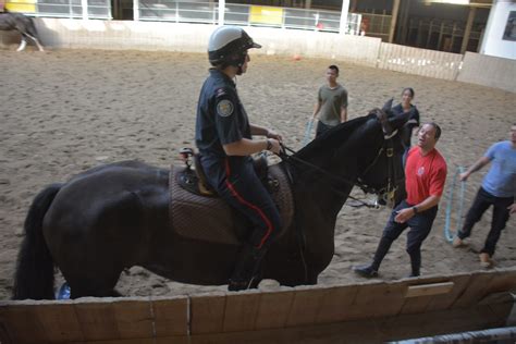 Toronto Police Tps Mounted Unit Larry Thorne Flickr