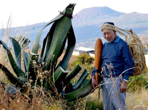 Milpa Bus Conoce La Ruta Del Pulque En Milpa Alta D Nde Ir