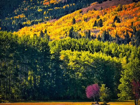 Amateur & Professional Photography | Remembering Fall near Anaconda