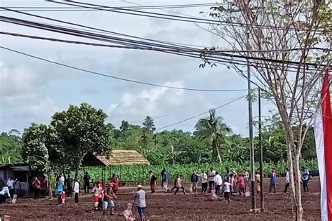 Presiden Menanam Jagung Bersama Petani Di Kabupaten Sorong IMQ21 IMQ