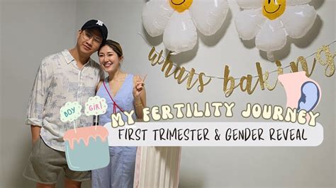 My Fertility Journey Ep 5 First Trimester Gender Reveal Youtube