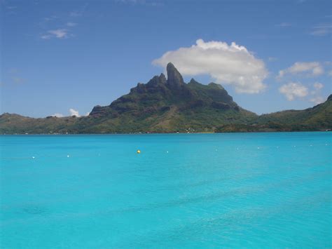 Bora Bora Wandermelon