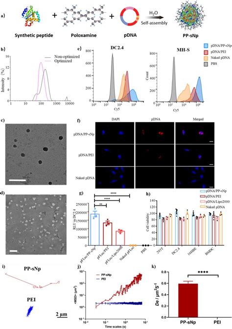 Dc Cell Line Atcc Bioz