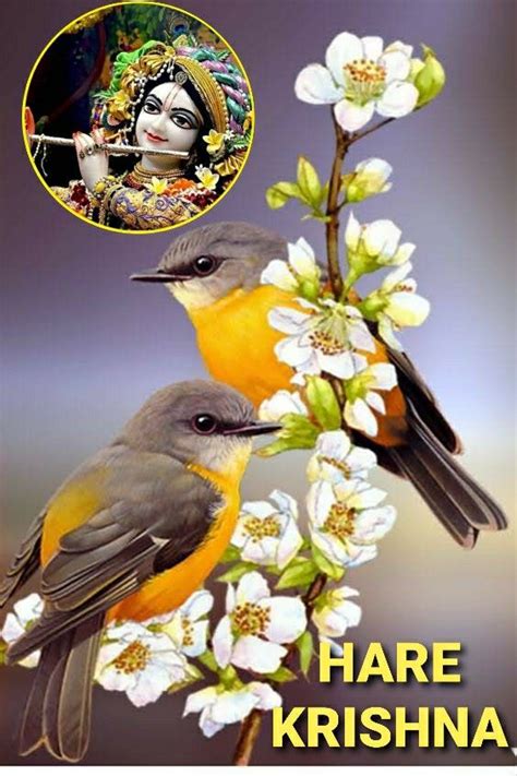 Two Birds Sitting On Top Of A Tree Branch With White Flowers In Front Of It