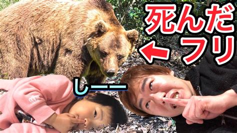 【衝撃映像】山登りで野生のクマと遭遇したので2歳児と死んだふりをしました Youtube