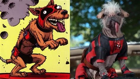 Who Is DEADPOOL 3’s Dogpool? Marvel’s Mutant Mutt, Explained