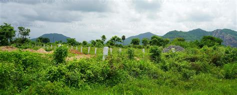 beautiful greenery view  mountain  daringbadi odisha