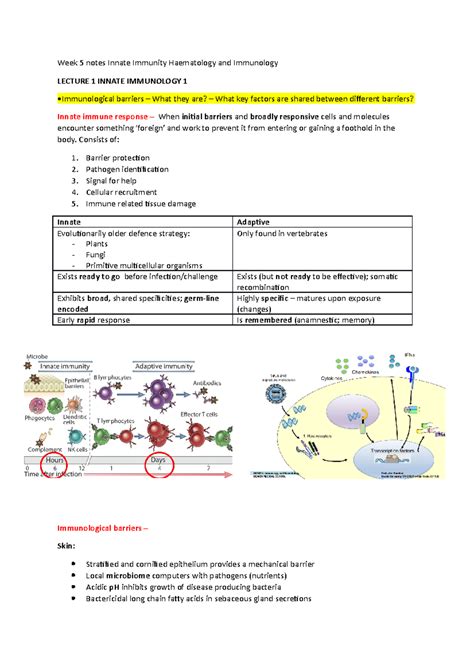 Week Notes Innate Immunity Haematology And Immunology Week Notes