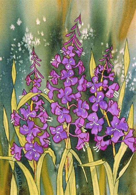 Fireweed Painting At Explore Collection Of