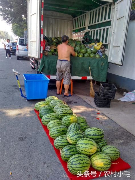 都說西瓜難賣，這兩位夫妻瓜農在路旁，一天賣出去兩大車，佩服！ 每日頭條