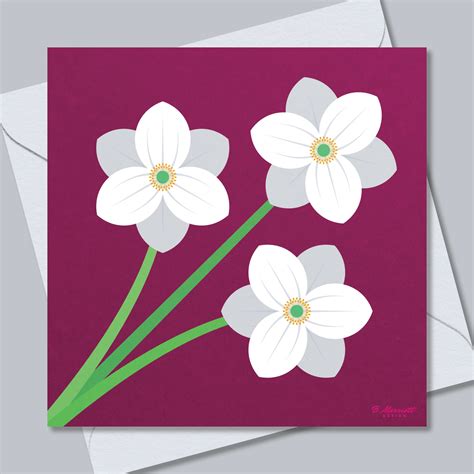 Japanese Anemones Luxury Floral Greetings Card B Marriott Design