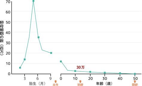 出産適齢期とは何歳？適齢期を過ぎても妊娠確率を高めることはできる？ 卵子凍結保管 グレイスバンク