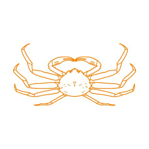 Snow Crab Chionoecetes Opilio Dimensions And Drawings