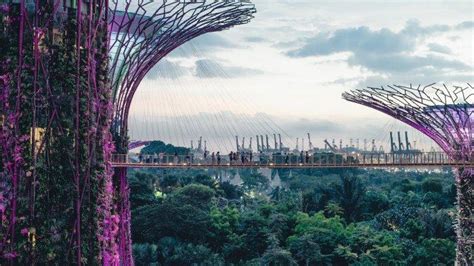 5 Tempat Wisata Ikonik Di Singapura Intip Keindahan Gardens By The Bay