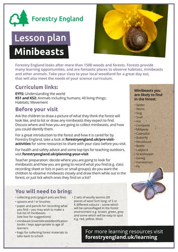 Minibeasts In The Forest Lesson Plan Eyfs And Ks1 Teaching Resources