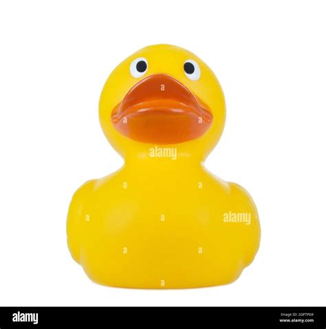 Yellow Rubber Duck Isolated On White Background Stock Photo Alamy