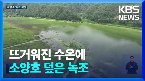 소양호 상류 덮은 녹조‘폭염 속 수온 32도까지 올라 Kbs 20230801 Youtube