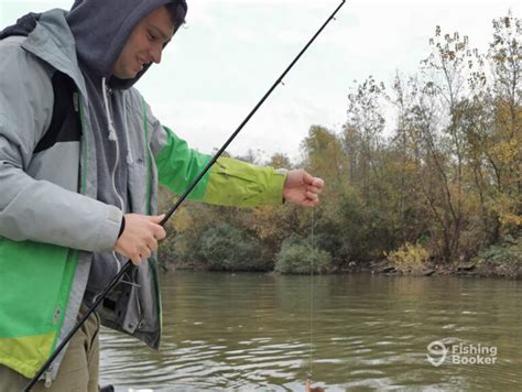 How to Go Perch Fishing: An Angler’s Guide