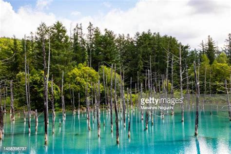 367 Blue Pond (Biei) Stock Photos, High-Res Pictures, and Images - Getty Images