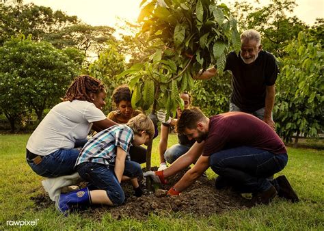 People Planting Trees