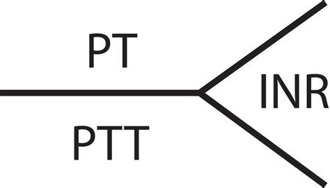 Partial thromboplastin time - Alchetron, the free social encyclopedia