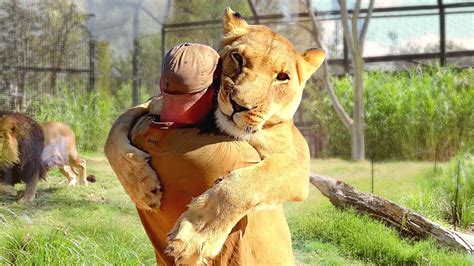 Animals Reunited With Owners After Years Youtube