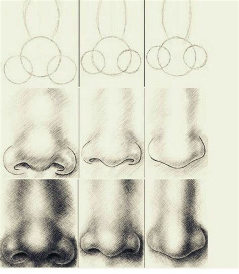 How To Draw A Nose Drawing Lessons Drawing Techniques Drawing Tips ...