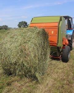 Сено, купить сено
