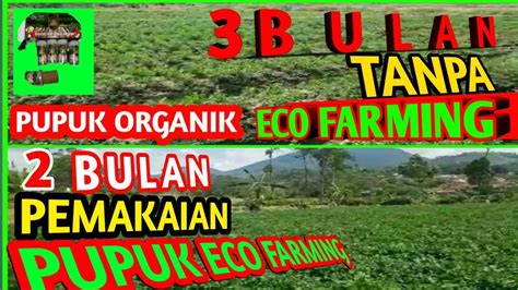 Pupuk Organik Eco Farming Solusi Bagi Petani Indonesia Youtube