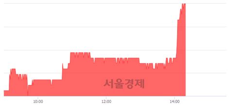 미래에셋생명 314 오르며 체결강도 강세 지속320 서울경제