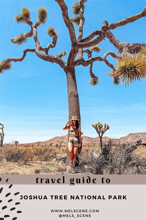 Weekend Guide To Joshua Tree Artofit