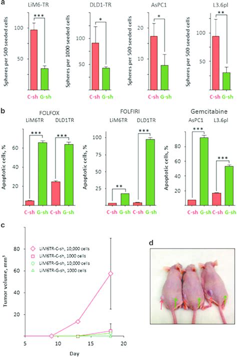 Effect Of Silencing Of Gal3 On Stemness Behavior A Knock Out Of Gal3