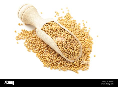 Mustard Seed Hi Res Stock Photography And Images Alamy