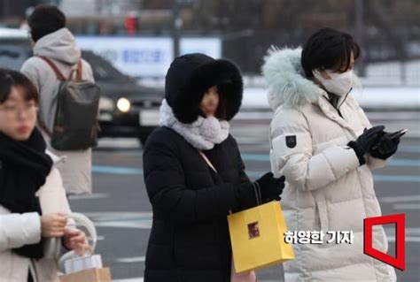 한파·대설 예고 중대본 2단계 격상위기경보 경계 네이트 뉴스